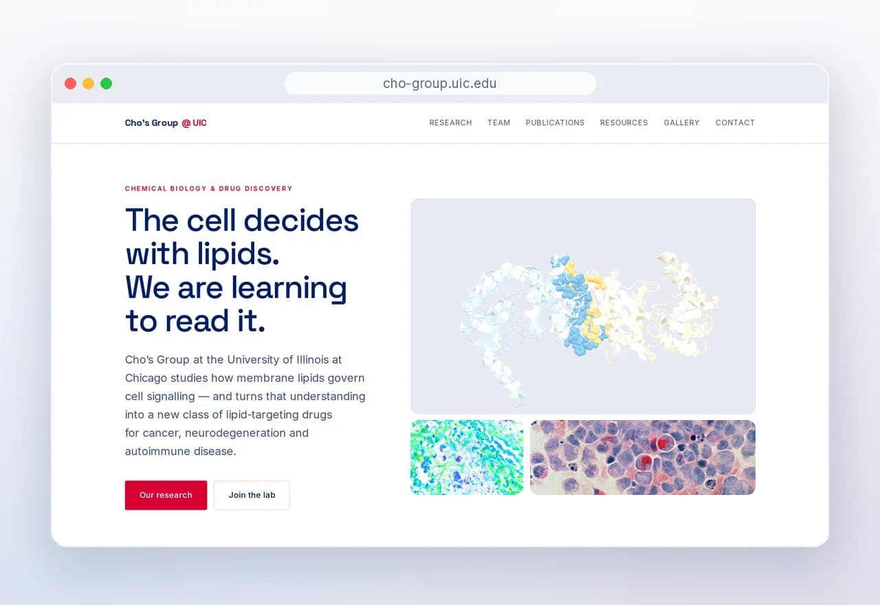 Deployed Websites 3