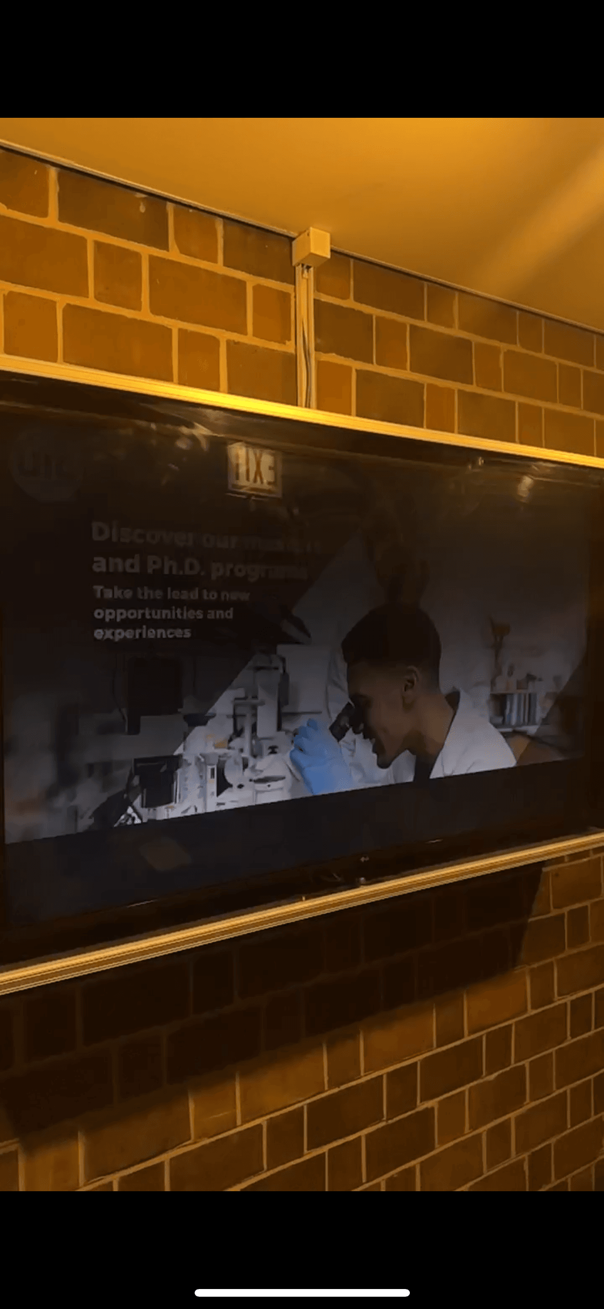 Raspberry Pi Displays 5